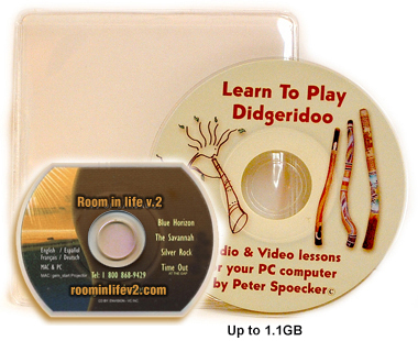 3" mini DVD disc replication